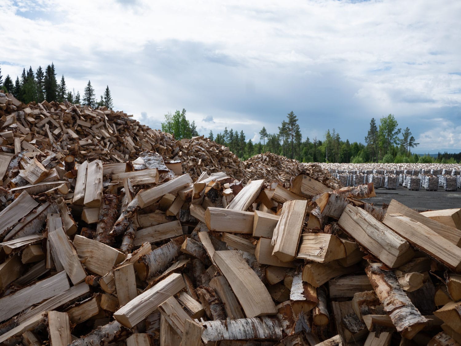 ved_1170039-a5ff7aa6